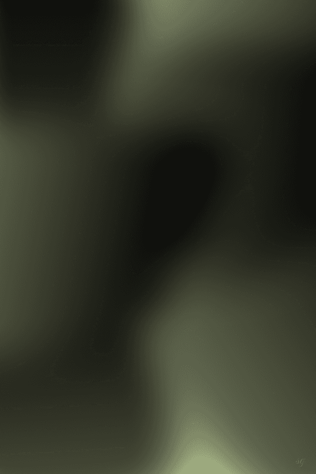 Go plan background